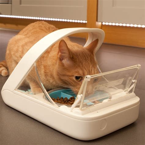 microchip feeding bowls for cats